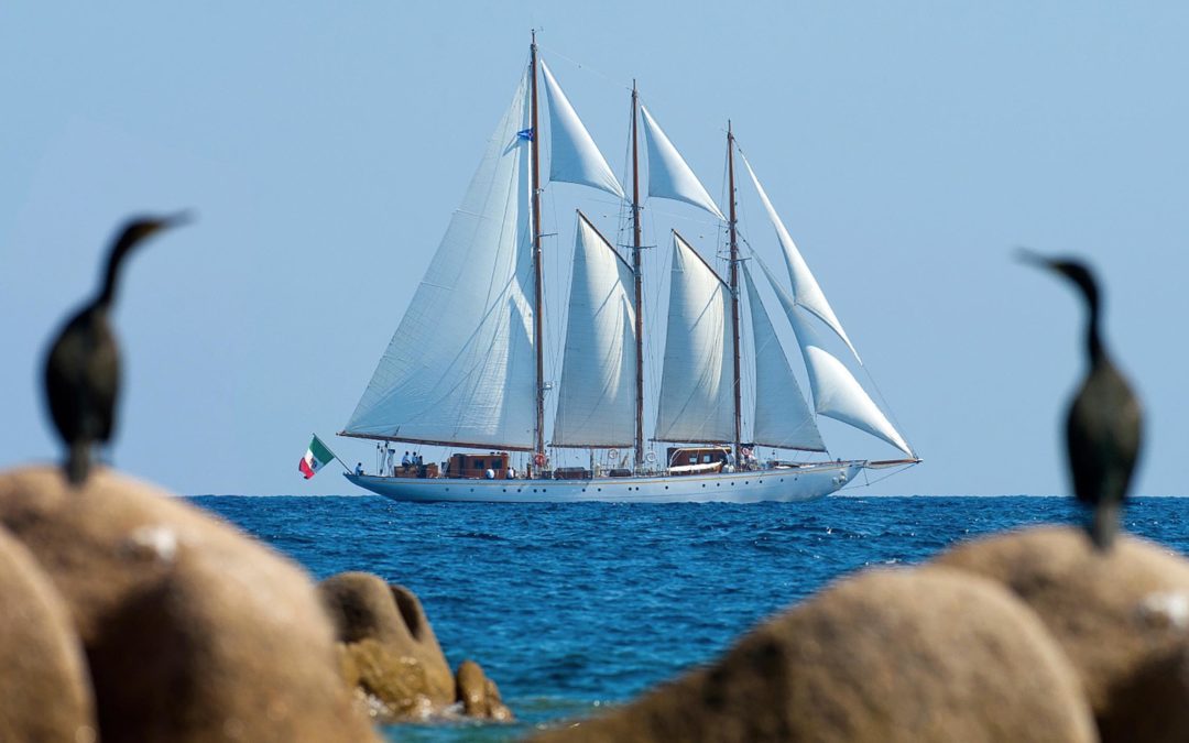 Croce del Sud (Official broker)
