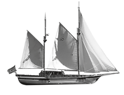 Black and white icon of a clown fish.