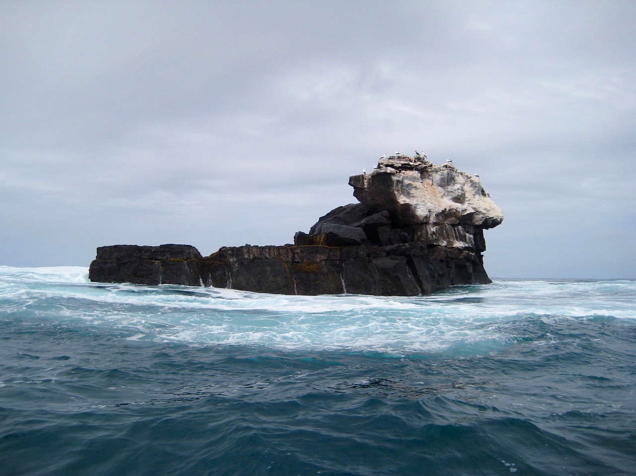 GALAPAGOS PRIVATE CHARTER GALAPAGOS PRIVATE CHARTER