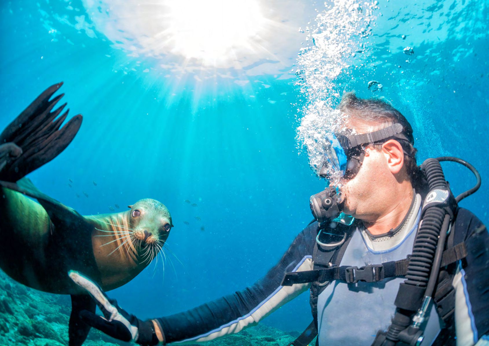 Moncada Yachts Private Charter Galapagos Islands Moncada Yachts Private Charter Galapagos Islands