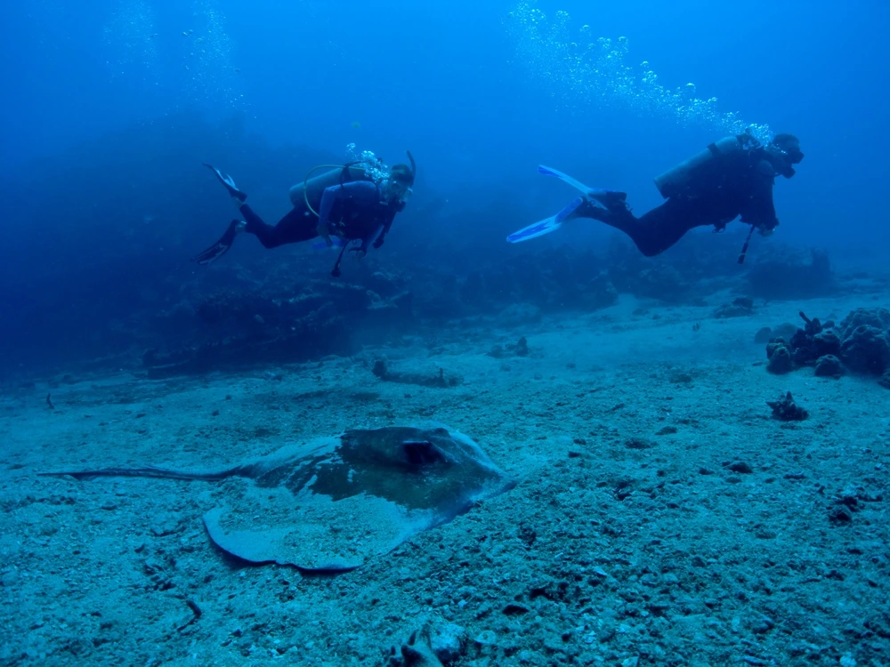 Diving Two divers underwater in the British Virgin Isles with a sting ray on the sand.