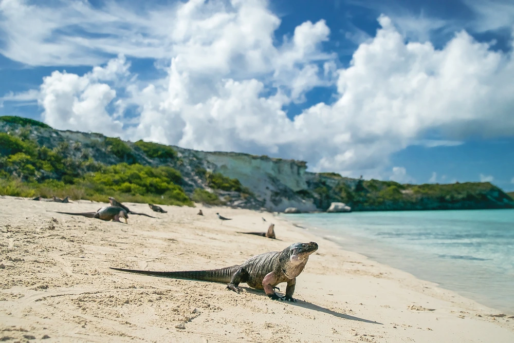 Sunset on the coast of Mallorca.
