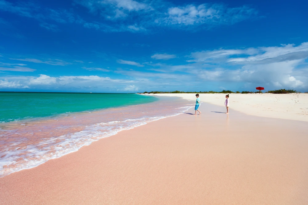 Two children playing on the pink beaches of Barbuda, with bright blue waters and a clear sky.