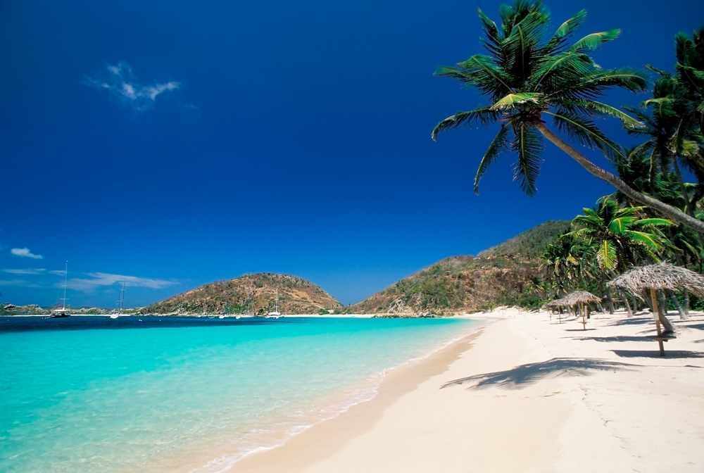 Bright blue waters and sandy beaches of St Peter Island with a palm tree.