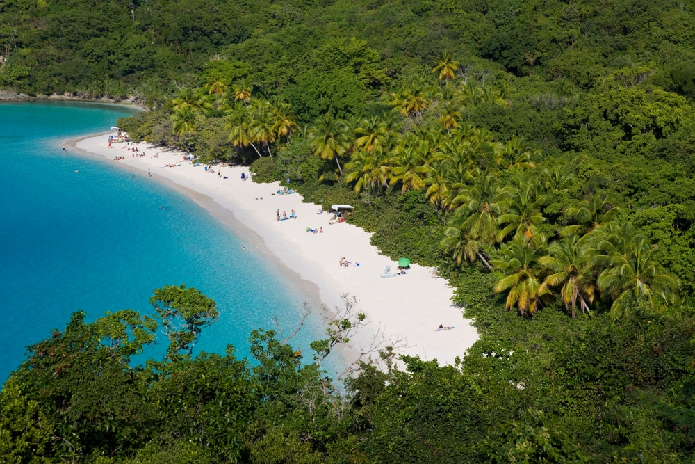 Trunk Bay on St John in the Virgin Islands, with bright blue waters and green forestry all around.
