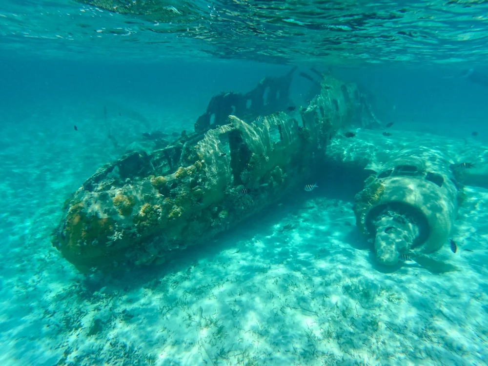 The wrecked smuggler's plane is under clear water in Norman Cay.