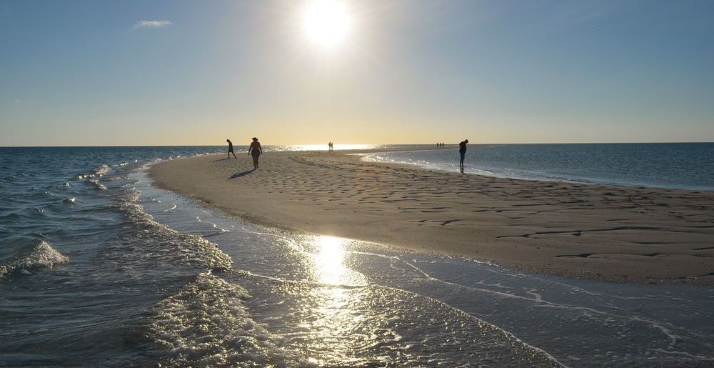 People walking on a sandbar in the distance with the sun shining brightly and waves flowing towards the sand.