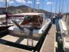 leonm bimini covered